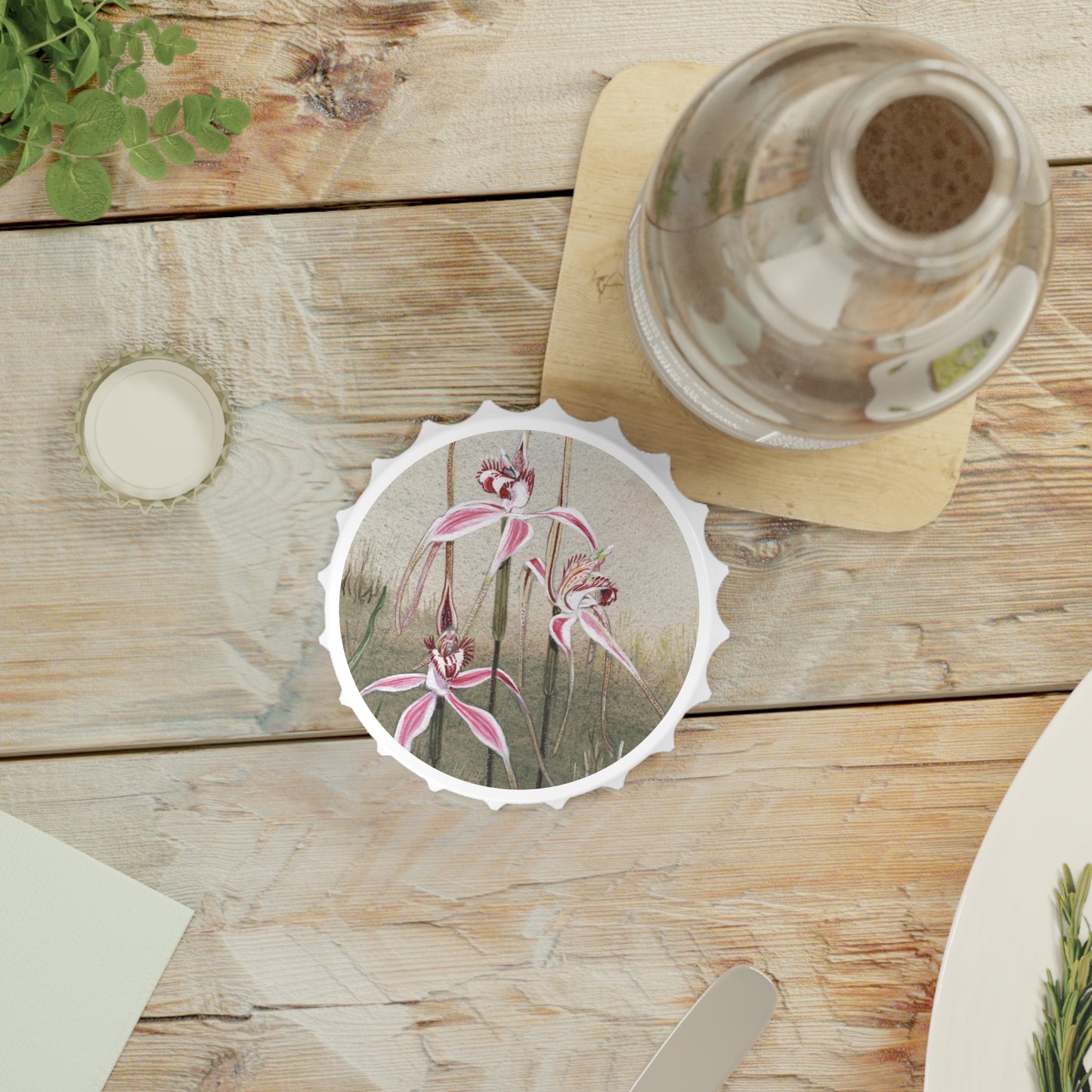 Australian Spider Orchid Bottle Opener