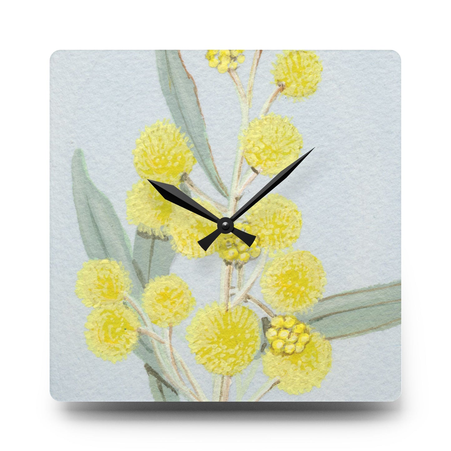 Australian Acacia murrayana Colony Wattyl Print Acrylic Wall Clock