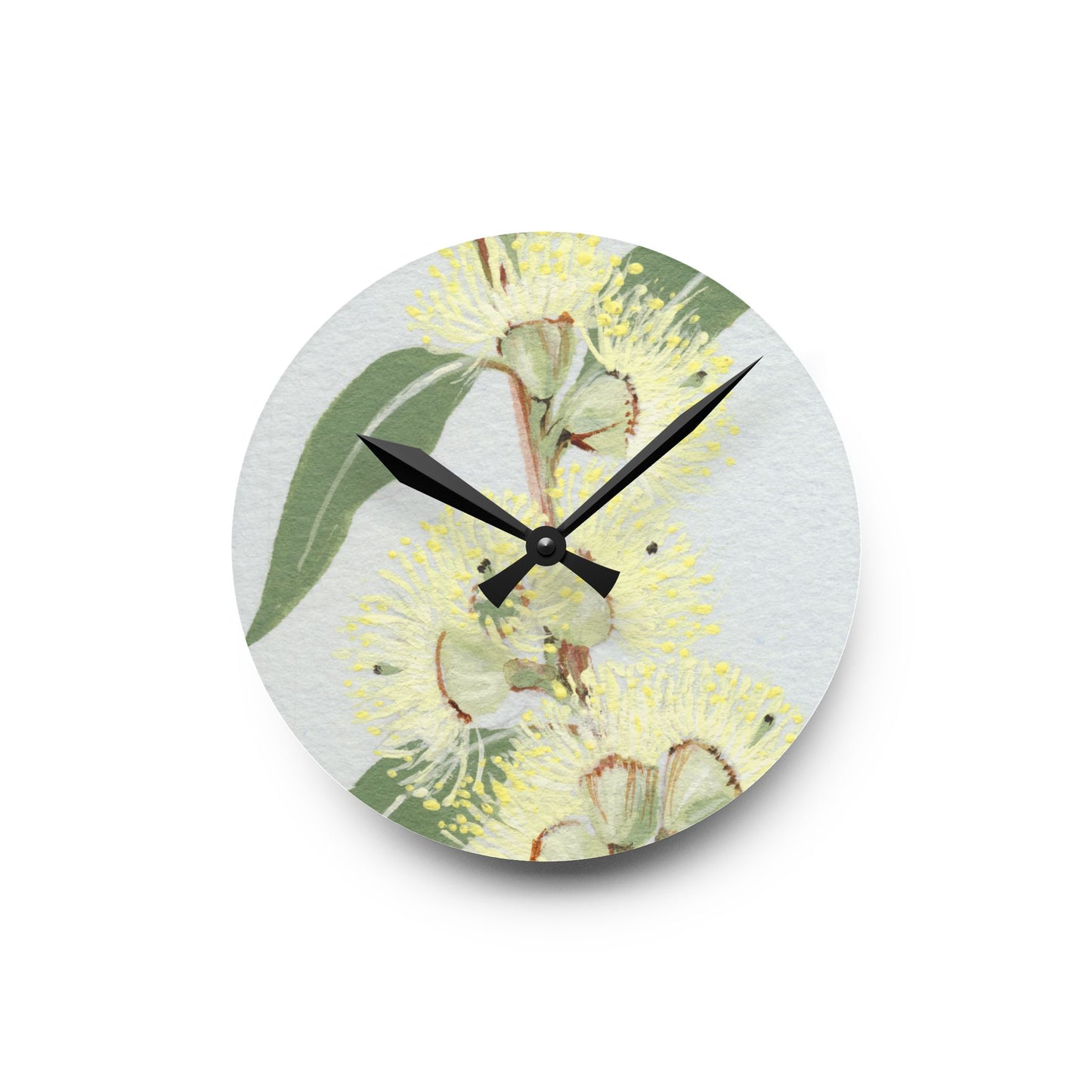 Australian (VIC) Messmate Stringybark Print Acrylic Wall Clock