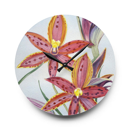 Australian (WA) Queen Of Sheba Orchid Print Acrylic Wall Clock