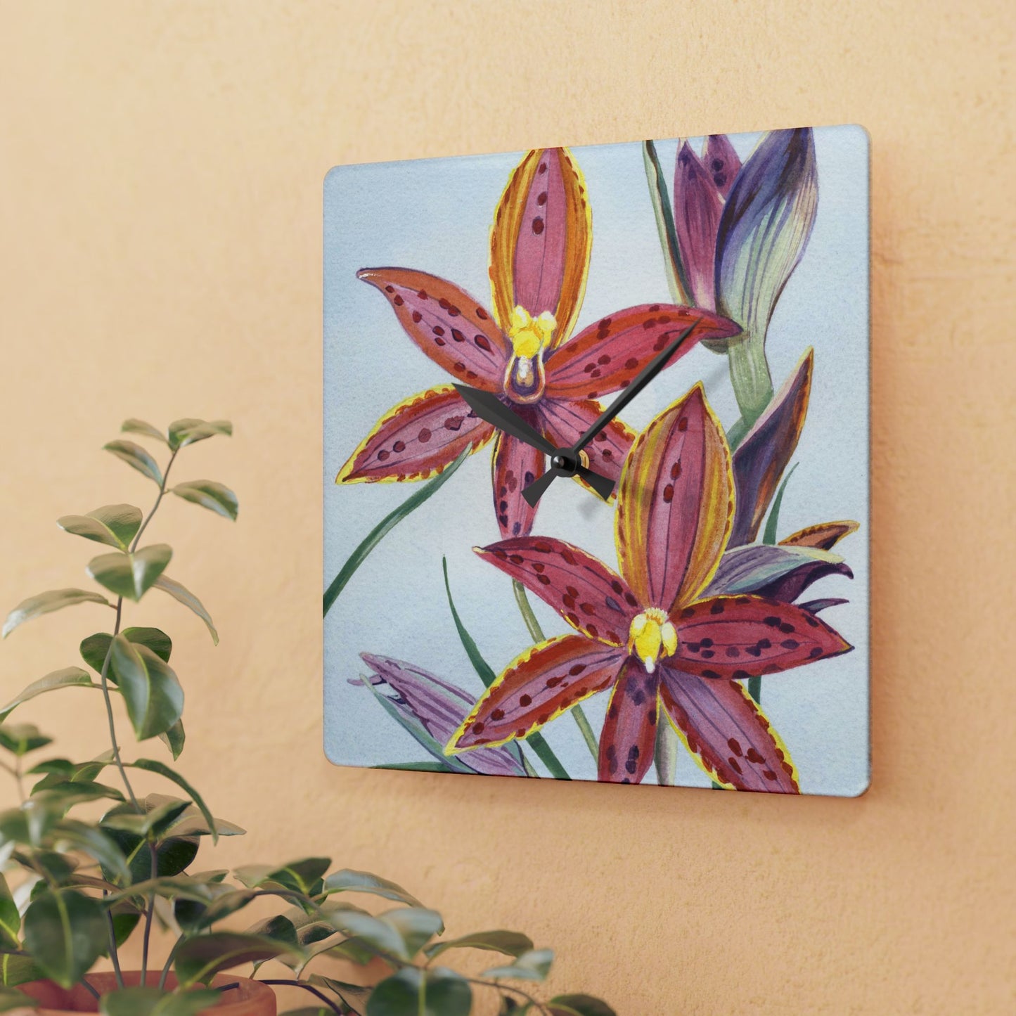 Australian (WA) Queen Of Sheba Orchid Print Acrylic Wall Clock