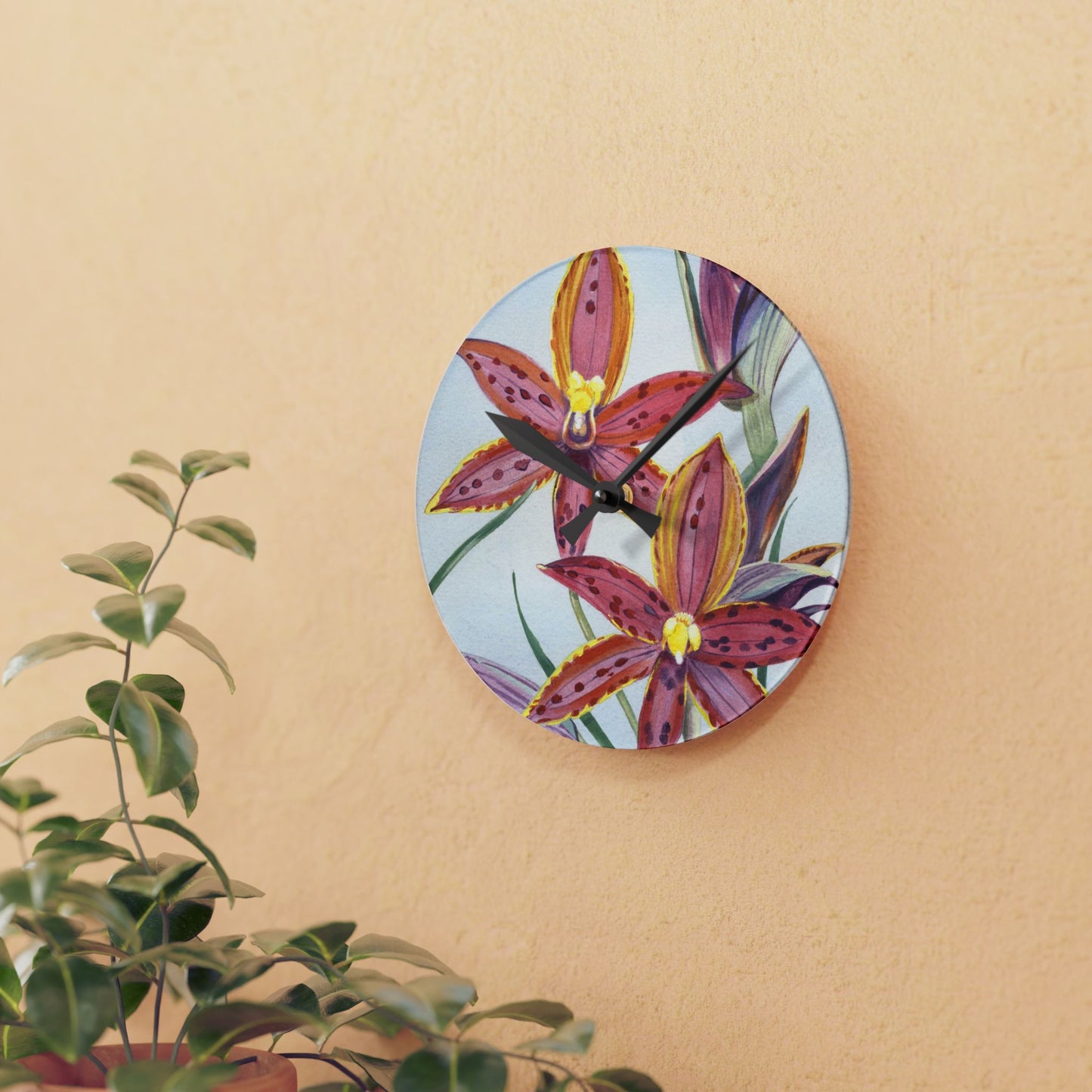 Australian (WA) Queen Of Sheba Orchid Print Acrylic Wall Clock