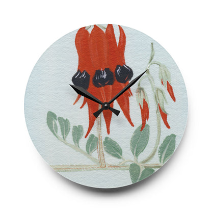 Australian Sturt's Desert Pea Flora Print Acrylic Wall Clock