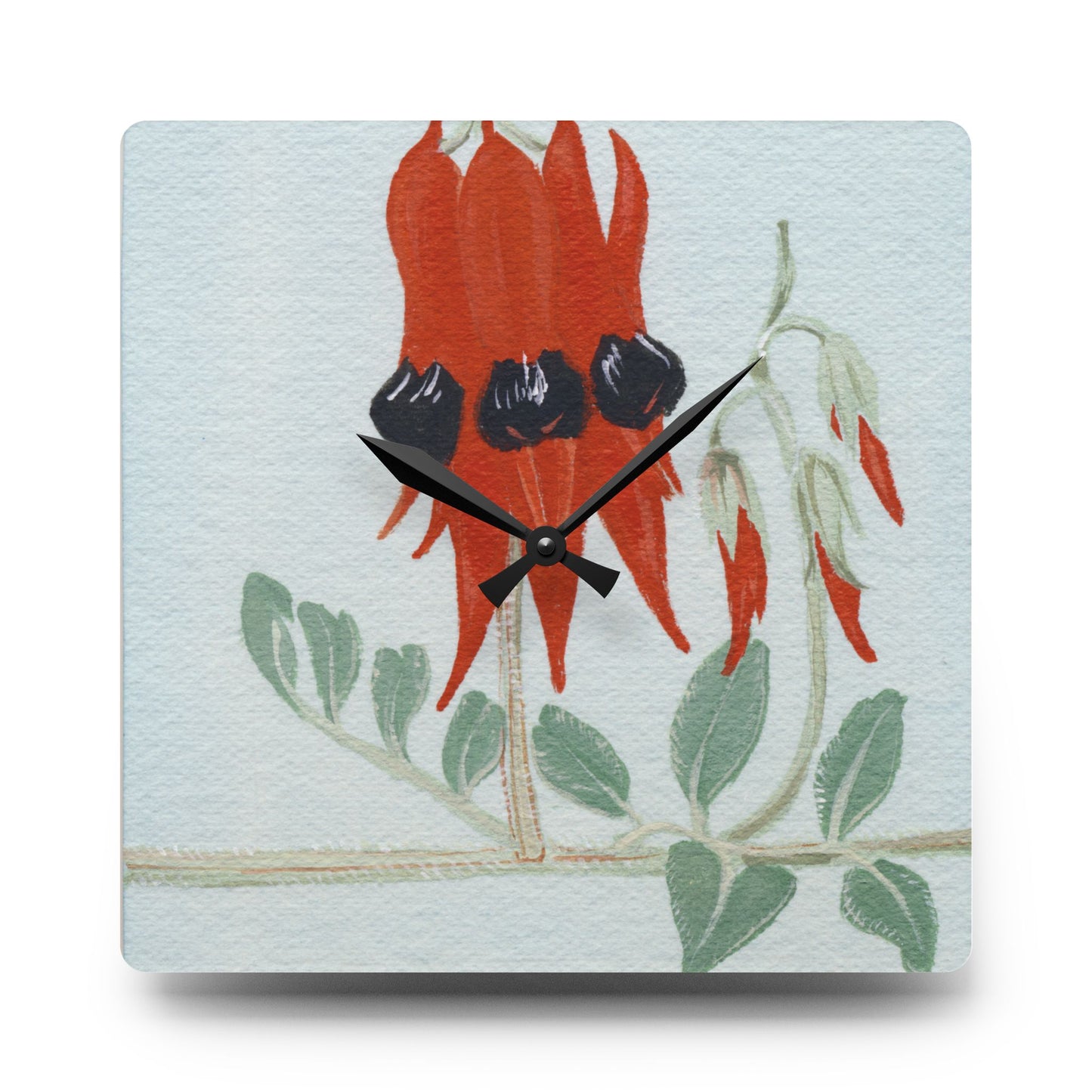 Australian Sturt's Desert Pea Flora Print Acrylic Wall Clock