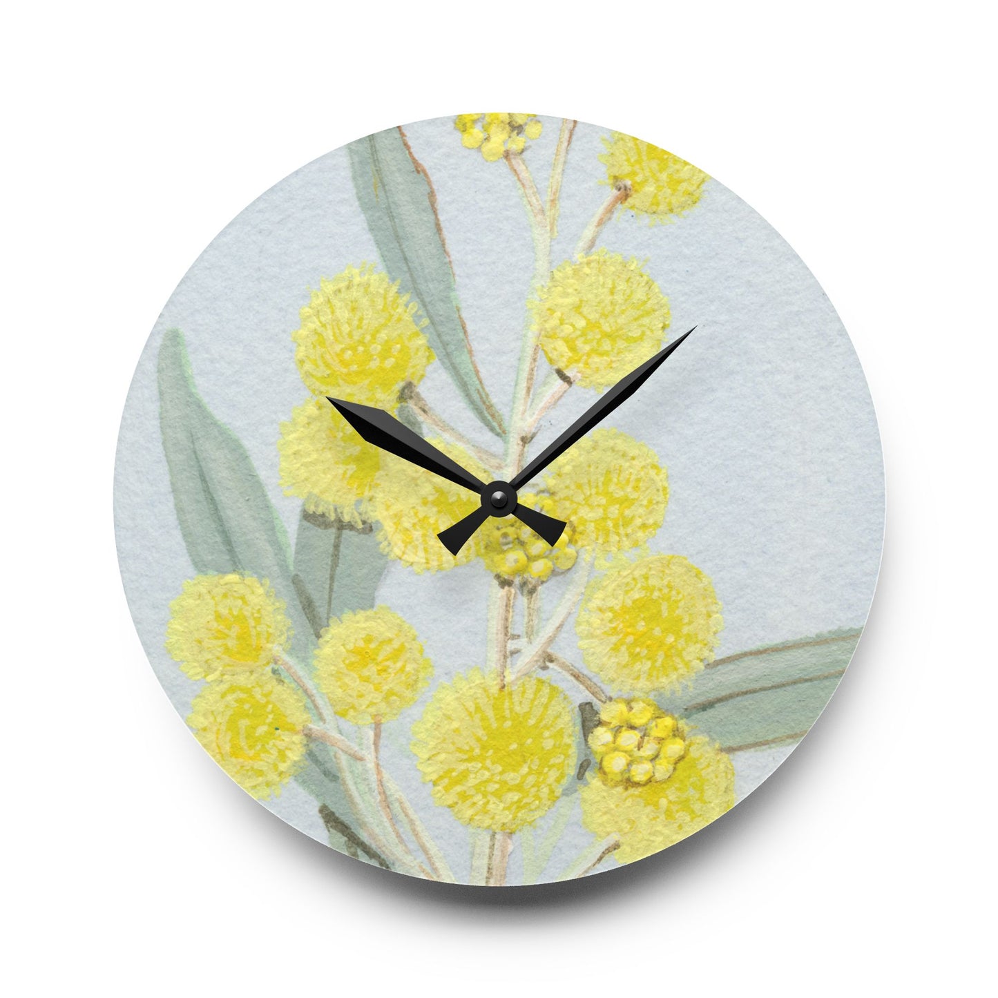 Australian Acacia murrayana Colony Wattyl Print Acrylic Wall Clock