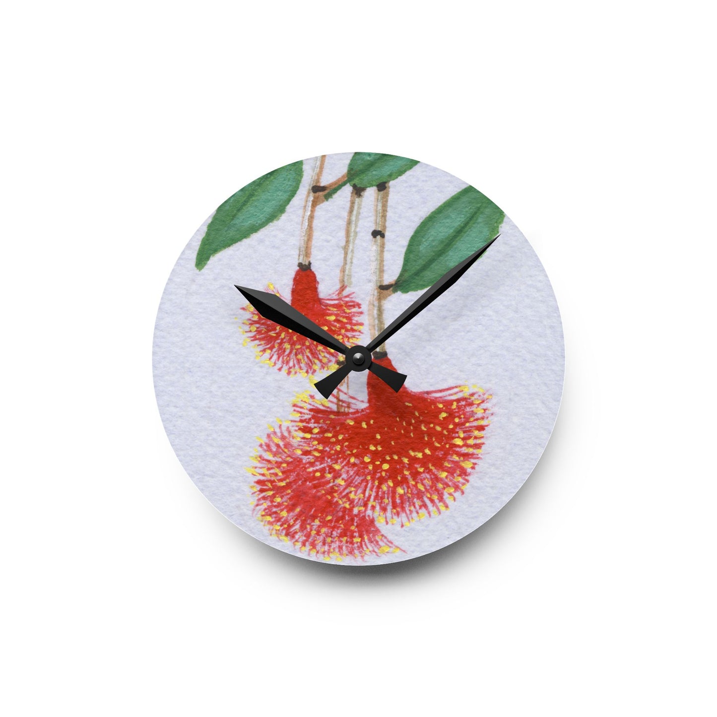 Australian Powder Puff Lilly-Pilly Flora Print Acrylic Wall Clock