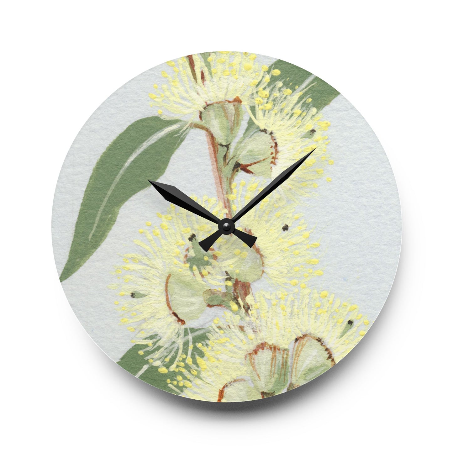 Australian (VIC) Messmate Stringybark Print Acrylic Wall Clock