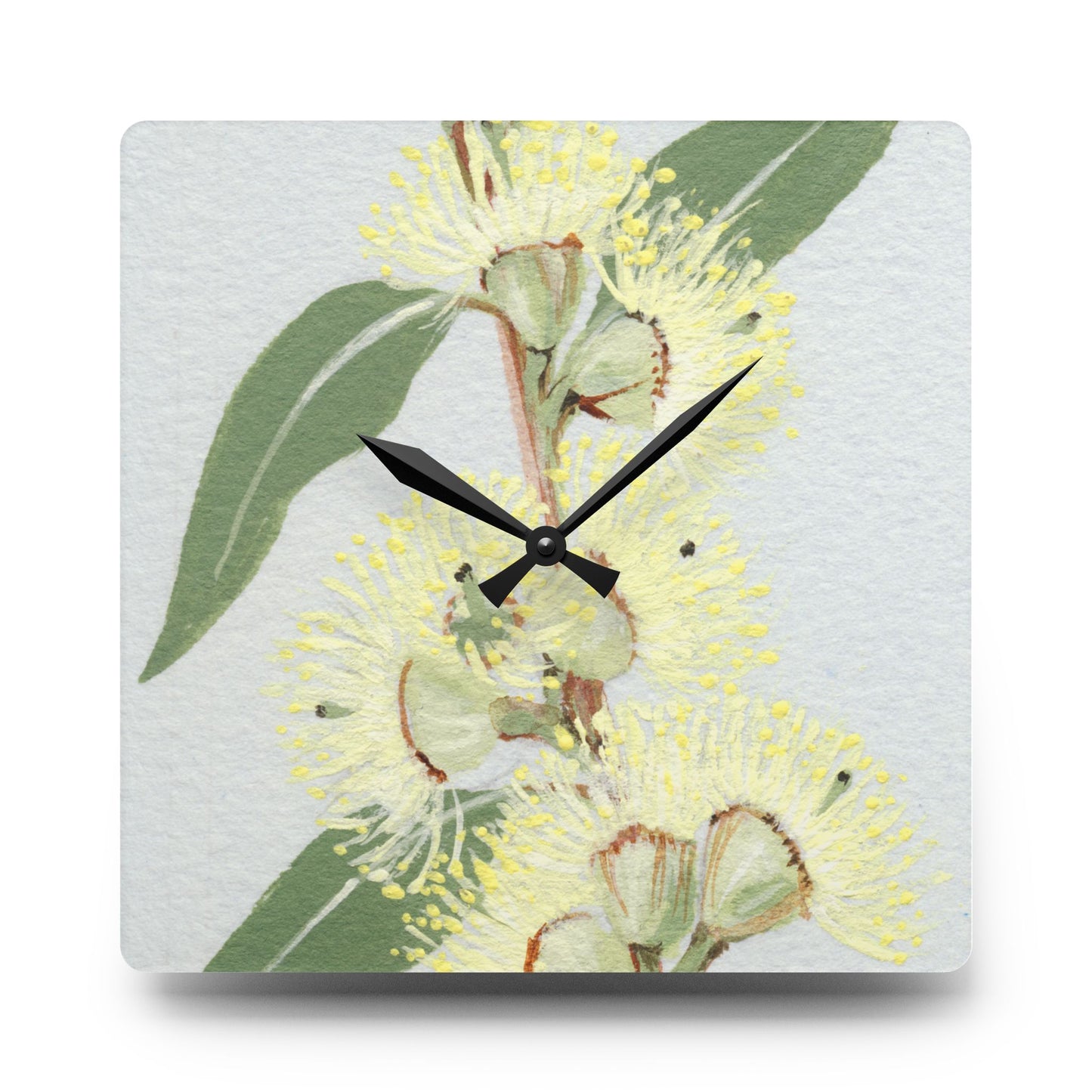 Australian (VIC) Messmate Stringybark Print Acrylic Wall Clock